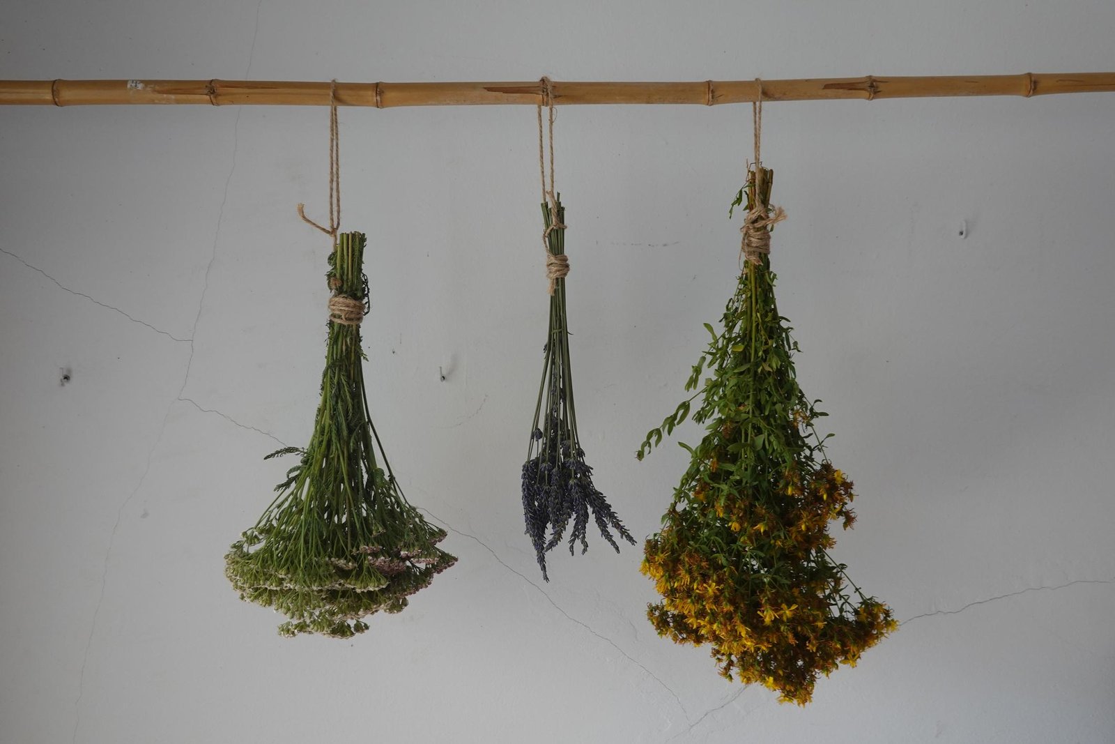 From Farm to You: The Journey of Pure Herbs